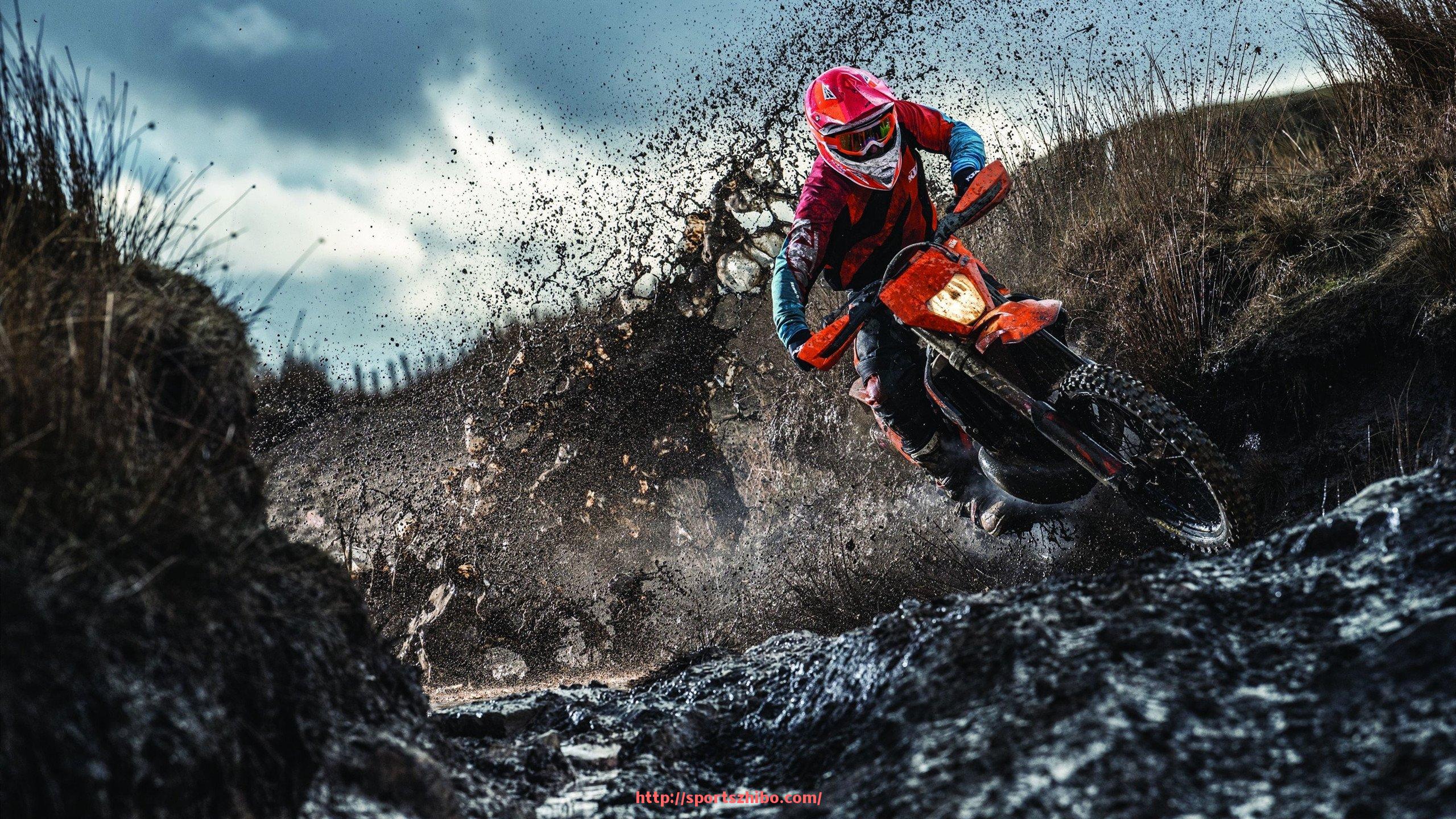 体育直播-本赛季升入英超的球队名单与前景预测